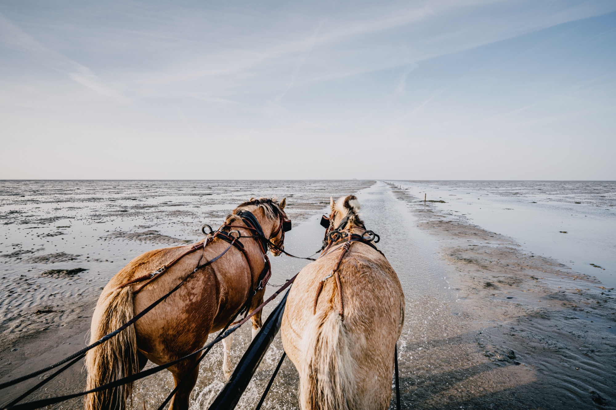 Mediendatenbank NT/Nordfriesland_Nordstrand_MR_221030_494.jpg